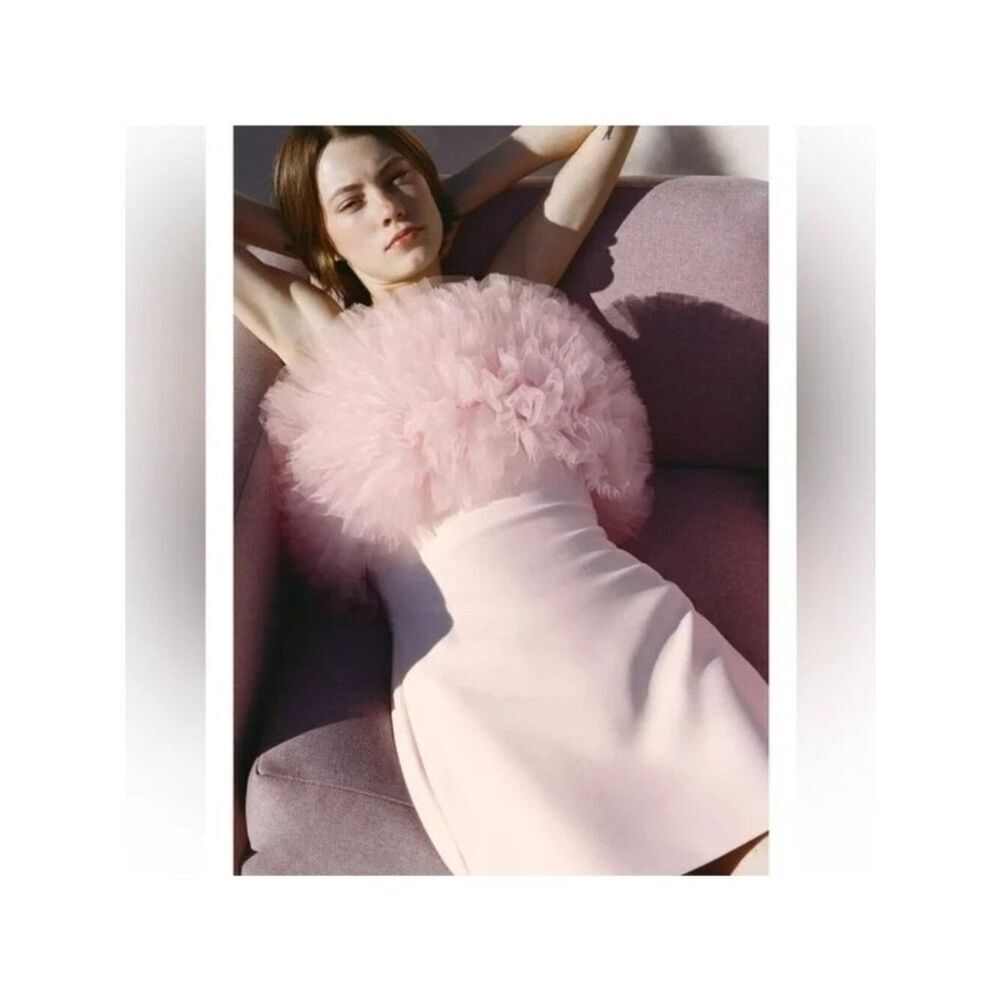 Zara Womens Voluminous Tulle Mini Dress Medium Pink Lined Ruffled 4772/334 NWT